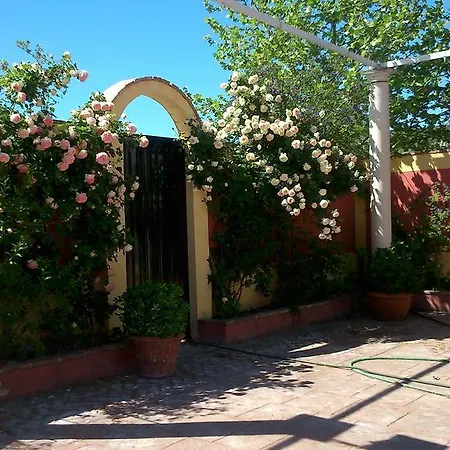 Complejo Turistico Y Fuente De La Salud Apartment